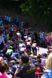 170527 Giro2017 Ca del Poggio RenVettorato307